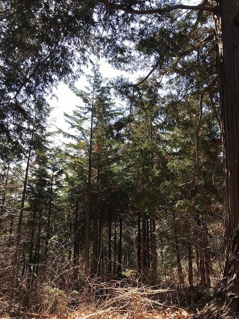 IMG-3870.jpg