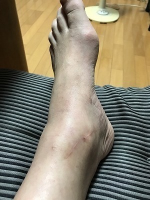 IMG_0971.jpg