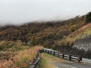 IMG_1241.jpg