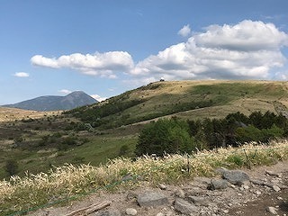 IMG_1775.jpg