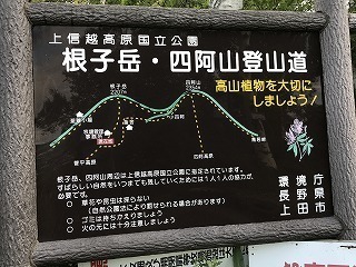IMG_2718.jpg