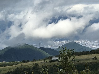 IMG_2728.jpg