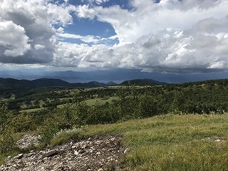 IMG_2758.jpg