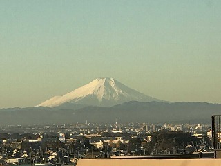 IMG_1393.jpg