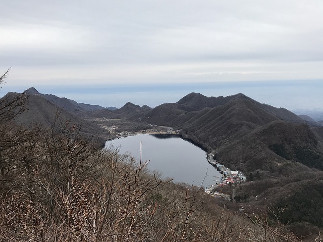 IMG_4942.jpg